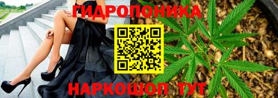 крисы Жуковский