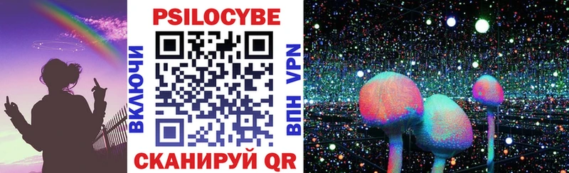 Галлюциногенные грибы Psilocybe Лосино-Петровский