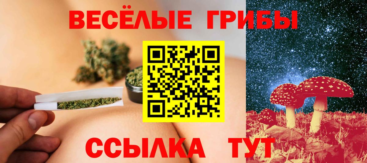 Псилоцибиновые грибы Psilocybe Лосино-Петровский