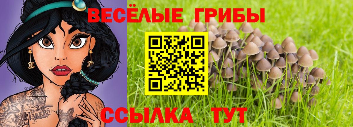 Галлюциногенные грибы Cubensis  Вход с VPN  Лосино-Петровский 